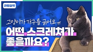 [라이브 강의] 자꾸만 긁어대는 고양이, 어떡해야 하나요?