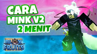 Cara V2 Mink Race Blox Fruits