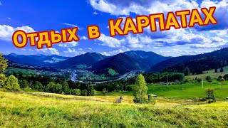 Отдых в Карпатах. БОМБА!!! Садыба \