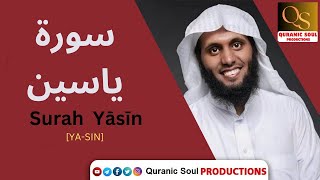 Surah Ya Sin | سورة يس | Qari Mansour Al-Salimi | Quranic Soul Productions | ❤️🥺راحة وطمأنينة