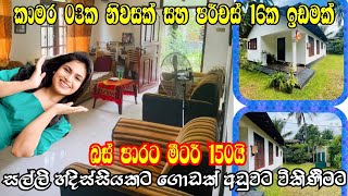 කාමර 03ක නිවසක් සහ පර්චස් 16ක ඉඩමක් සල්ලි හදිසියක් මත ඉක්මනින් විකිණීමට #acland #housesale