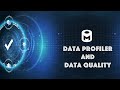 Data Profiler & Data Quality #dataquality #dataprofiler #datacatalog #metadata