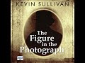 chapter 27.3 the figure in the photograph