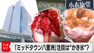 ひみつ堂など人気かき氷店を次々誘致！東京駅の新名所「東京ミッドタウン八重洲」開業に密着【ガイアの夜明け】（2023年3月31日）