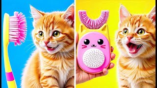 Rescuing A Cat From A Dental Dilemma 🦷 Best Gadgets For Camping With Your Pets!