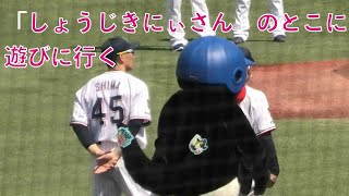 つば九郎、今日も「しょうじきにぃさん」のとこに遊びに行く