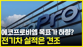 목표가↓ 전기차 수요는 견조, 양극재 생산기업 에코프로비엠