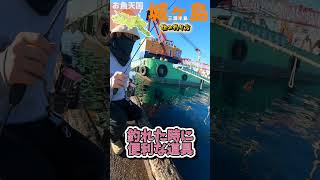 三浦半島【城ヶ島】堤防でミノカサゴが釣れたよ！#shorts      #釣りラビ 　＃海釣り　＃ボート釣り　＃二馬力ボート　＃カンパチ