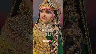 हमारी सरकार श्री राधा रानी है#राधाकृष्ण#radha#krishna#yt#vrindavan#shorts#shortvideo#shortsfeed