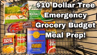 12 Meals for Just $10 | Dollar Tree Emergency Grocery Budget Meal Prep