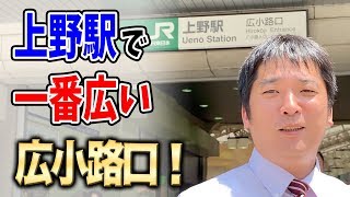 【上野駅】一番広くてアメ横に行きやすい！〜広小路口〜