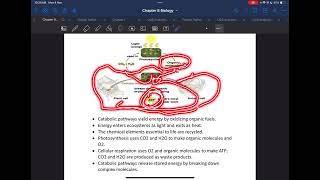 Chapter 10 (Cellular Respiration) Part 1