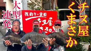 チヌかかり釣りタッチーちゃんねる＃66　チヌ屋くまさか年無し、大型が連発！チヌ、真鯛絶好調！