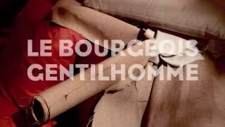Le Bourgeois gentilhomme - Denis Podalydès