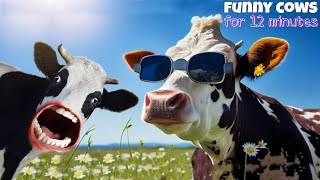 FUNNY COW DANCE FOR 12 MINUTES STRAIGHT | Cow Song \u0026 Cow Videos 2024 | Cow dance mix | dancing cow