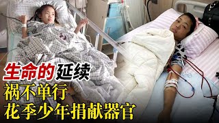 15岁男孩突发脑溢血，女儿身患尿毒症，祸不单行使母亲濒临崩溃，怎料最终决定把儿子的器官捐献给女儿#真相调查