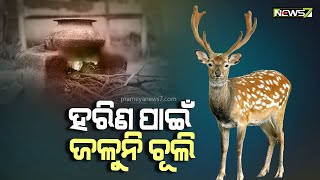 ଜଗତସିଂହପୁର ରଘୁନାଥପୁରରେ ଅଭିନବ ପ୍ରତିବାଦ; ଗ୍ରାମବାସୀଙ୍କ ଘରେ ହରିଣ ପାଇଁ ରୋଷେଇ ବନ୍ଦ