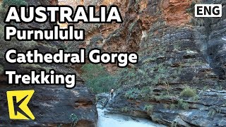 【K】Australia Travel-Purnululu[호주 여행-푸눌룰루]협곡 트레킹/Bungle Bungles/Purnululu/Cathedral Gorge/Opera hall