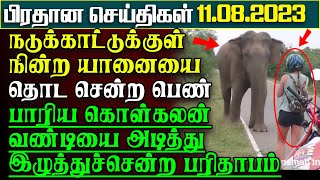 நடுக்காட்டுக்குள் யானையை கட்டிப்பிடிக்கசென்ற வெளிநாட்டுப்பெண்-லொறியை அடித்தபரிதாபம் |பிரதானசெய்திகள்