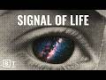What the absence of aliens on Earth really tells us | David Kipping