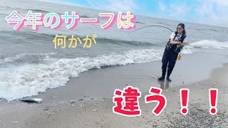 【青物】今年はサバが釣れすぎる！！