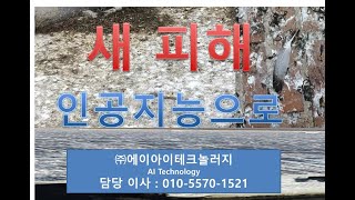 인공지능 조류퇴치기 ,참새퇴치, 비둘기퇴치, 까치퇴치, 새를쫒는 , 인공지능으로 민원등 갈등 최소화