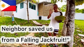 How Our Neighbor Saved Us from a Falling Jackfruit 🇵🇭