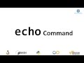 echo Command