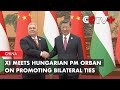 Xi Meets Hungarian PM Orban on Promoting Bilateral Ties