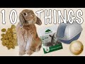 10 Things My Rabbit Can't Live Without