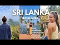 SRI LANKA REISE 2024 - Alles was du wissen musst (Backpacking, Urlaub, Rundreise, Highlights)