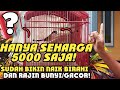 CARA NAIKKAN BIRAHI DAN CENDET CEPAT GACOR‼️DENGAN VOR 