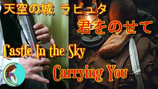 [Castle in the Sky] Carrying You [EWI]  by Syuyuu #55