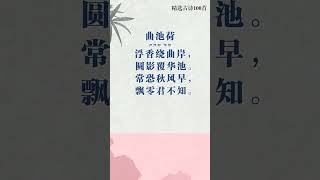 《精选古诗 100 首》之曲池荷 #亲子时光 #中华文化 #传统文化 #古诗朗诵 #唐诗三百首 #经典诵读 #亲子共读 #儿童教育 #文学素养 #挑战系列