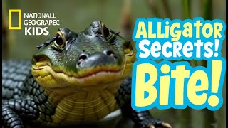 Alligator Adventures : A Snappy Journey with National Geographic Kids
