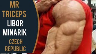 LIBOR MINARIK IFBBPRO AKA MR TRICEPS || THE GUY WHO EARNED THE MR TRICEPS Title