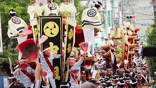 【転倒有】令和五年津久野だんじり祭　試験曳き2023/09/24 Tsukuno Danjiri Festival