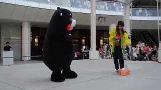 くまモン 闘牛くまモン ~ニッポン宝マルシェイベント~ ②