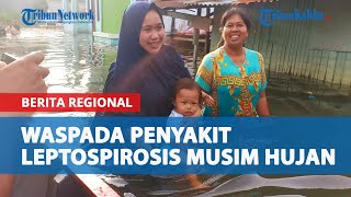 Musim Penghujan, Dinkes Kaltim Imbau Masyarakat Waspadai Penyakit Leptospirosis