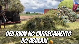 DEU RUIM NO CARREGAMENTO DO ABACAXI, NÃO CARREGUEI🍍🍍