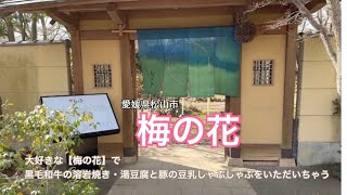 梅の花　和食　ランチ　しゃぶしゃぶ　豆乳　豆腐　懐石料理