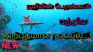 Beauty Secert Of Earth- Oceans l பூமியின் அதிசயம் பெருங்கடல்கள் l