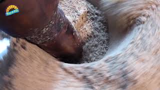 Mauli Lakdi Ghana : Sure and Pure : Sesame Oil Processing : Authentic Wooden Pressed Oil