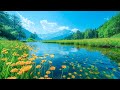 Beautiful Relaxing Music 🌿 Stop Overthinking, Stress Relief Music 🌿 Gentle Music #2