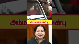 அம்மாவின் அந்த அன்பு #jayalalitha #amma