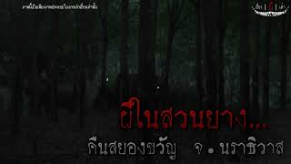 ผีในสวนยาง…! | เรื่อง ผี เล่า EP.116