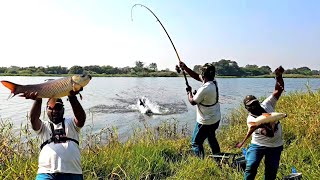 Amazing Fishing Video || Big Rohu Fish Catching || Single Hook Fishing