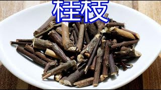 大厨揭秘香料知识，第三十六集“桂枝”，讲的都是干货，不学可惜