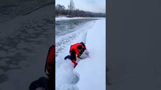 【搞笑漁民生活】最牛捕魚人大河砸冰抓魚真過癮，這個方法技巧,高手試了都說好!#shorts #捕魚 #搞笑 #戶外抓魚