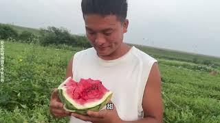 胆大老公跑600多公里去湖北襄阳拉西瓜🍉最后亏还是赚呢？西瓜卖多少一斤呢？#记录真实生活 #西瓜 #vlog日常 #摆摊 #美都西瓜